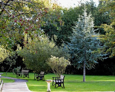 Benches at rear gate